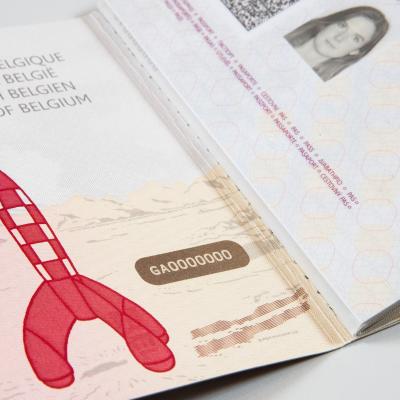 Kuifje en het paspoort